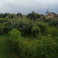 Jardin du temps à illzach - 3