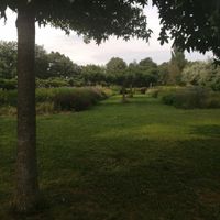 Jardin du temps à illzach - 4