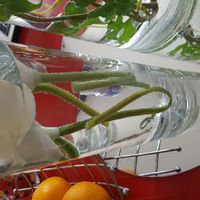 Fleur noyée ; ) - 1