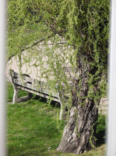 Quelques photos pour penser à autre chose ! 4