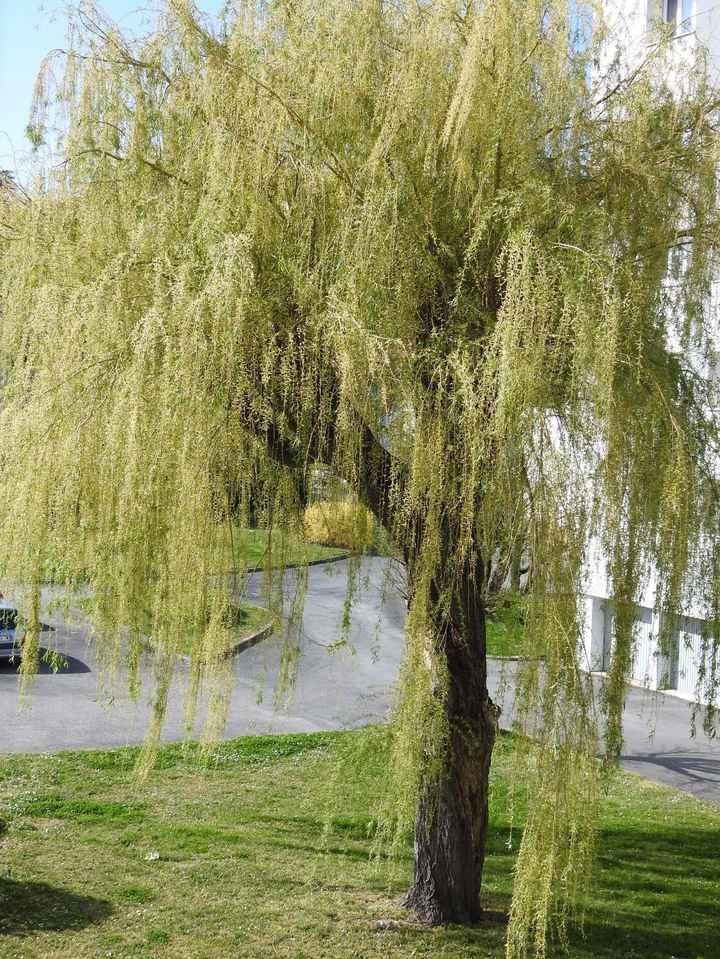 Quelques photos pour penser à autre chose ! - 2