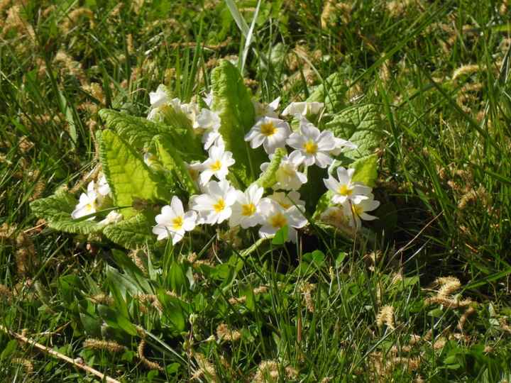 Quelques photos pour penser à autre chose ! - 3