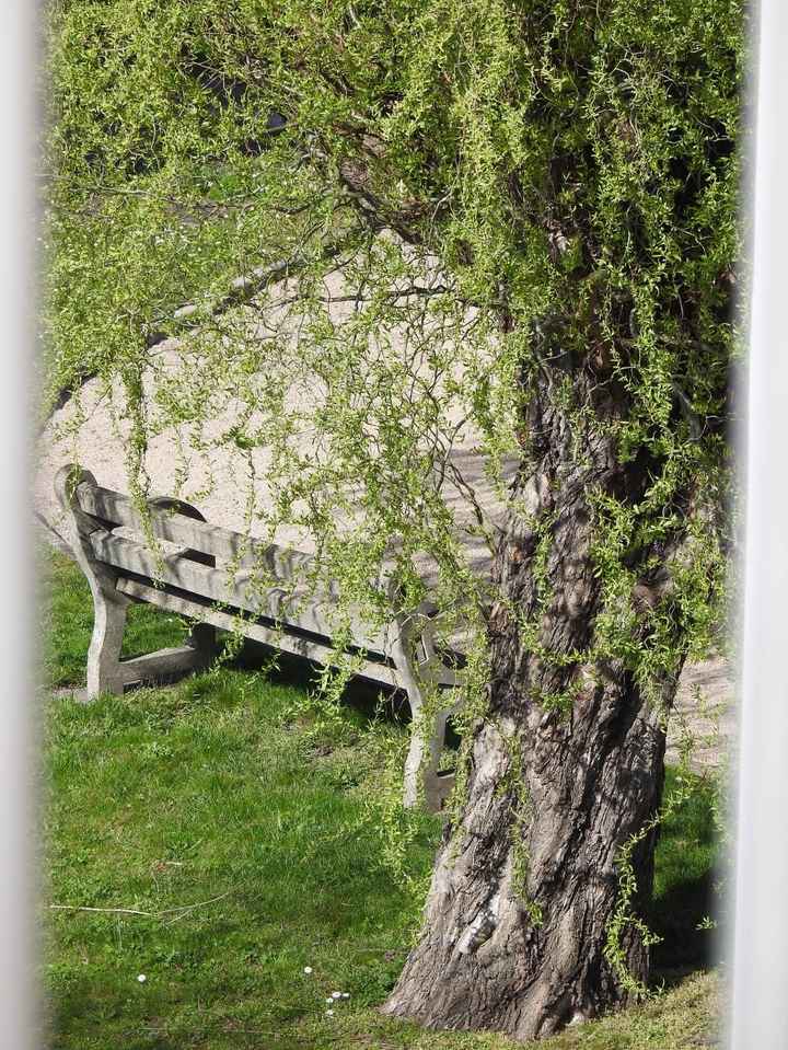 Quelques photos pour penser à autre chose ! - 4