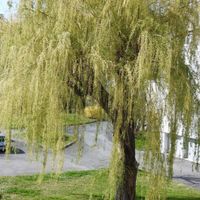 Quelques photos pour penser à autre chose ! - 2