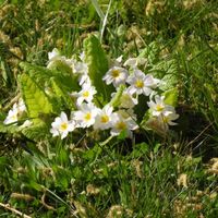 Quelques photos pour penser à autre chose ! - 3