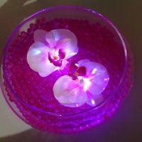 Thème orchidee - 3