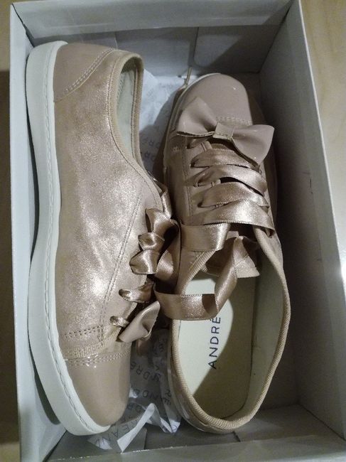  Recherche d'une paire de basket comme chaussure de secours - 1