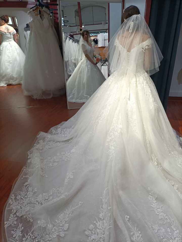 Coiffure cheveux lâché - 1