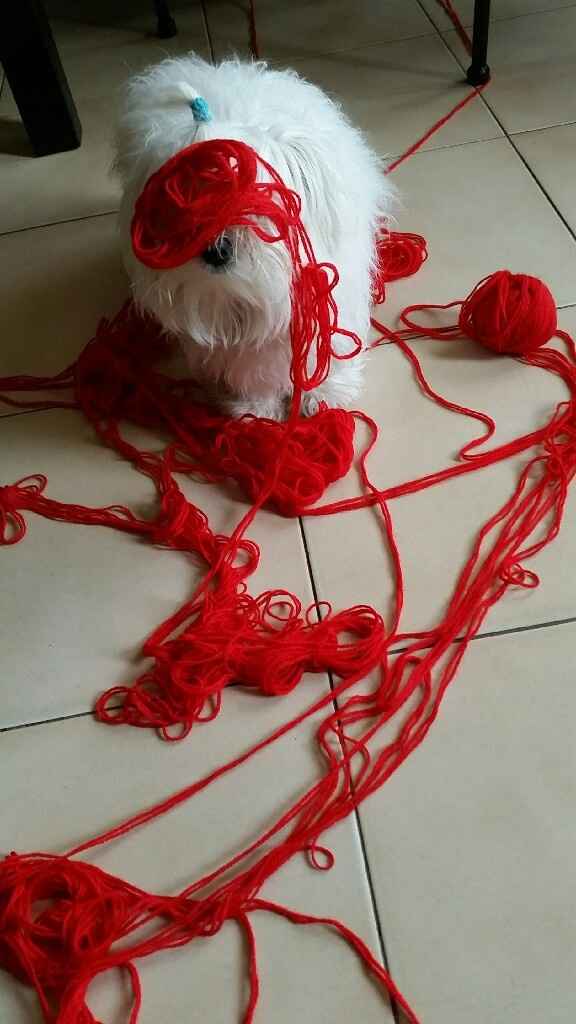 Mon assistant du soir - 1