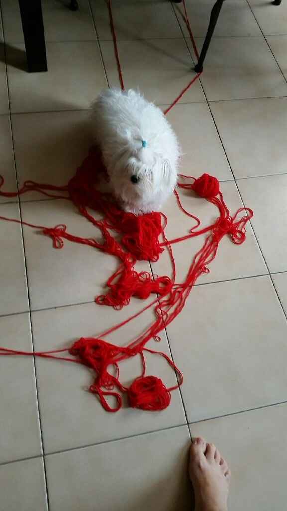 Mon assistant du soir - 2