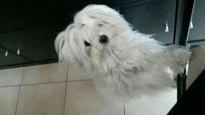 Mon assistant du soir - 3