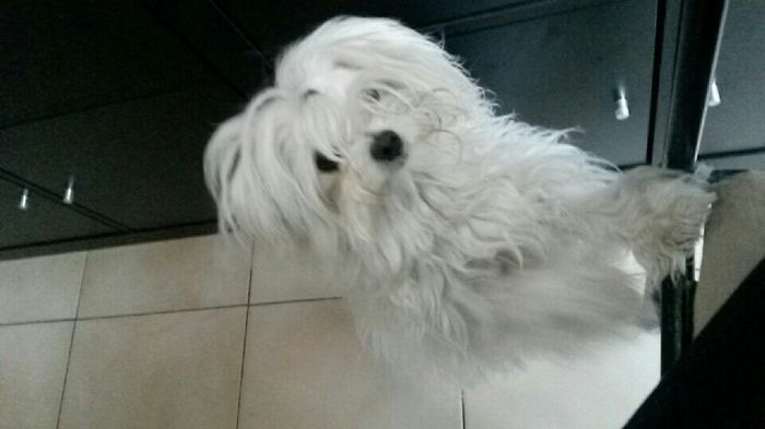 Mon assistant du soir - 3