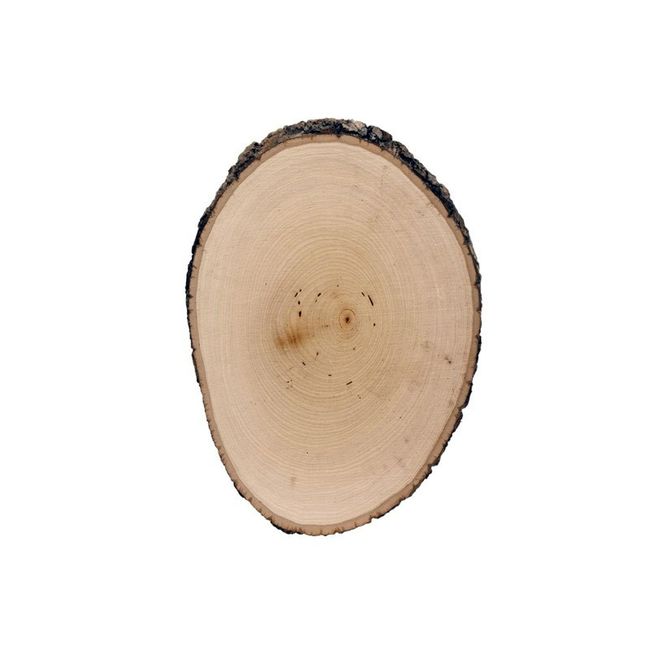rondin de bois