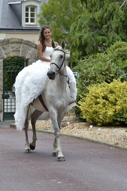 Arrivée à cheval