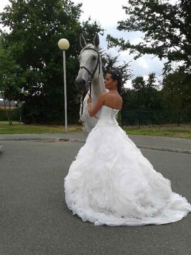 The Mariage 12 