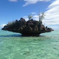 Voyage de noce île maurice - 8