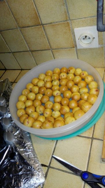 Ca continue a avancer - 7