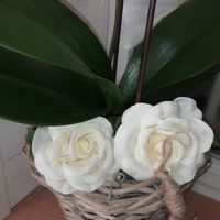 Où trouver de belles fleurs artificielles ? - 1