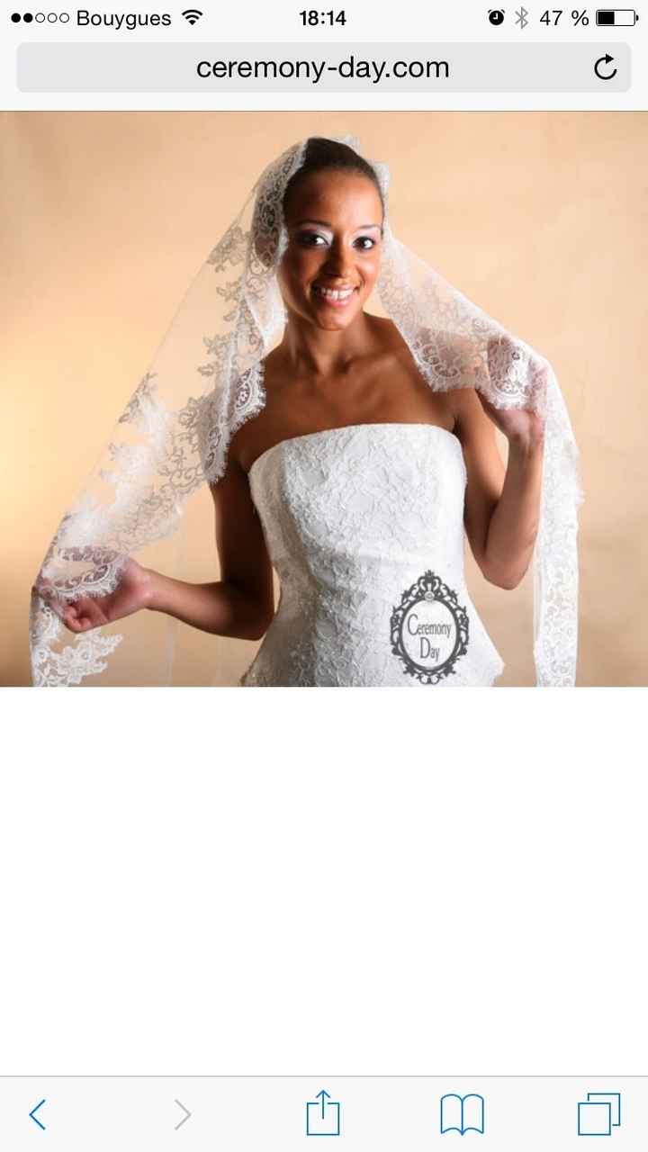 Voile 1