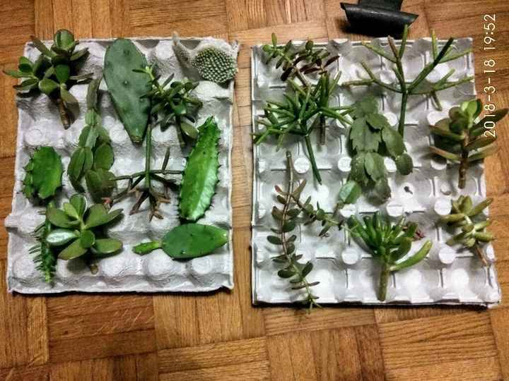 Diy de ce dimanche : kdo pour invités + déco - 3