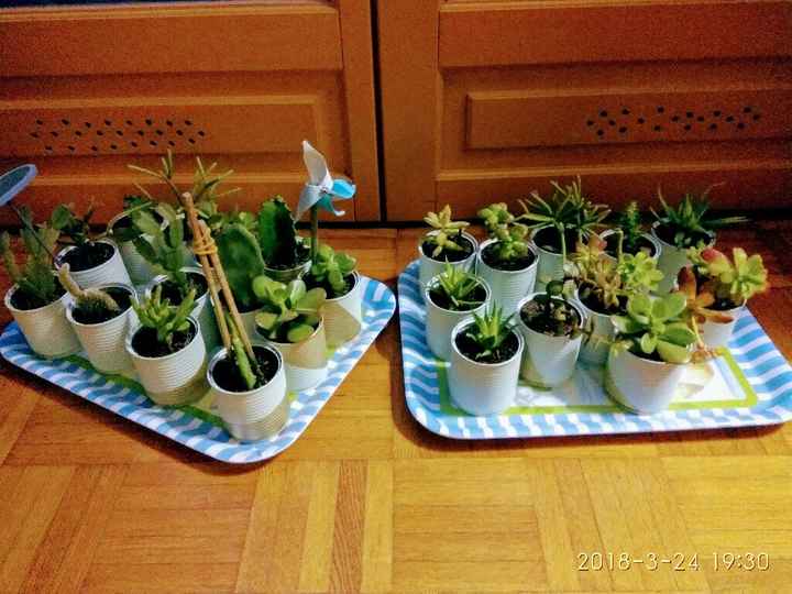 Cactus addict - 2