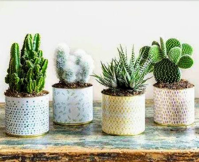 Cadeaux aux invités ? en plus des dragés? - 1