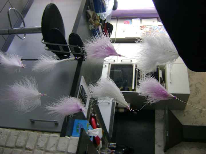 guirlande de plumes