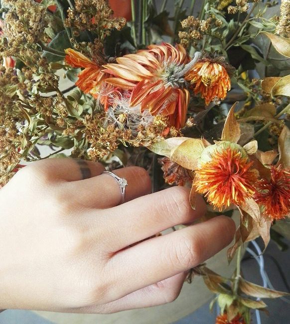 Votre précieuse 💍 - 1