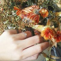 Montrez-moi votre bague de fiançailles ! - 1