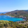 Ilane