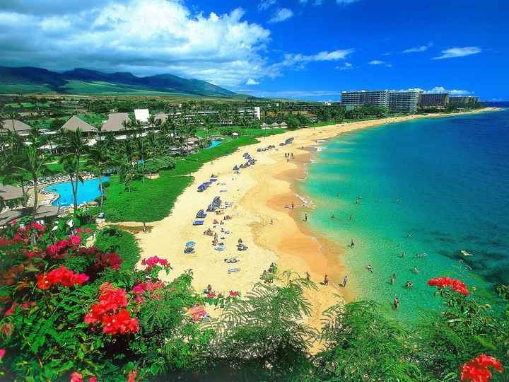 Plage hawaii