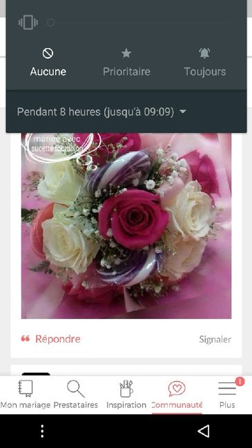 Quel bouquet choisir!? - 11