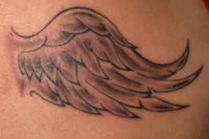 mon tatou