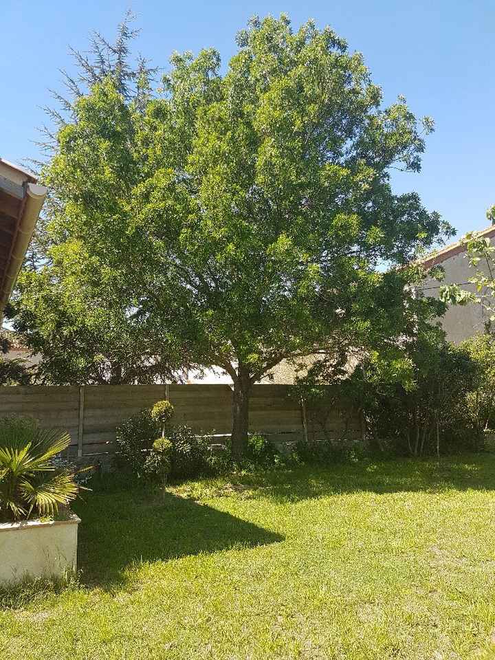 Montrez moi votre salle et votre décoration - 9