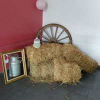 Décorations salle de réception - 5