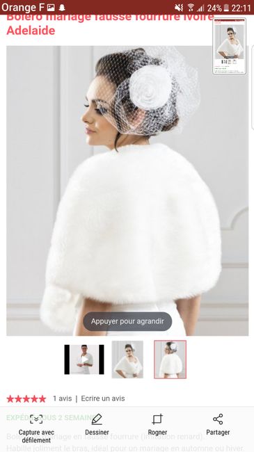  Châle, écharpe, boléro, foururre? - 1