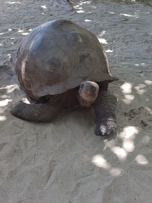  Retour impression Les Seychelles - 5