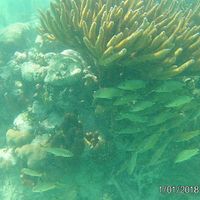 Mexique... lune de miel... - 1