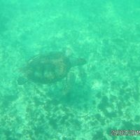 Mexique... lune de miel... - 2