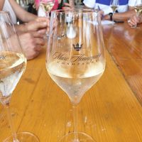 Champagne et vins du Rhône - 1