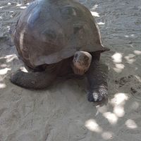  Retour impression Les Seychelles - 5