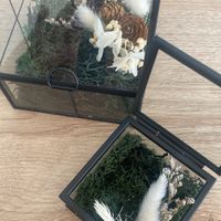 On a choisi nos alliances !! - 1