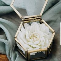 Support pour les alliances - 1