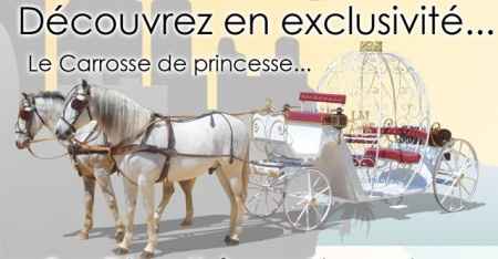 carosse de princesse