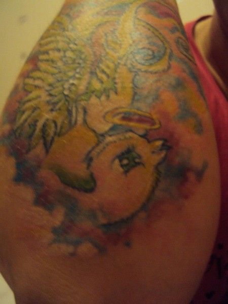 oiseau ange