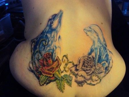 deux dauphins 