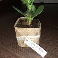 Cadeau invité pas chers - 1