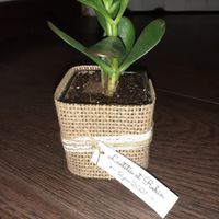 Idée cadeaux invités et budget - 1