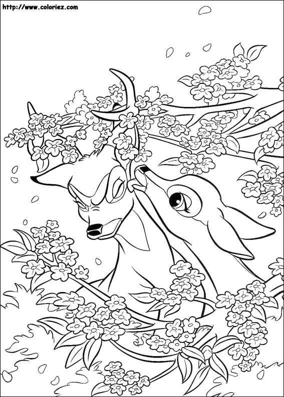Bambi et Féline