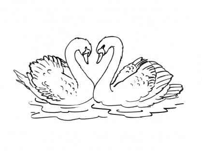 cygnes